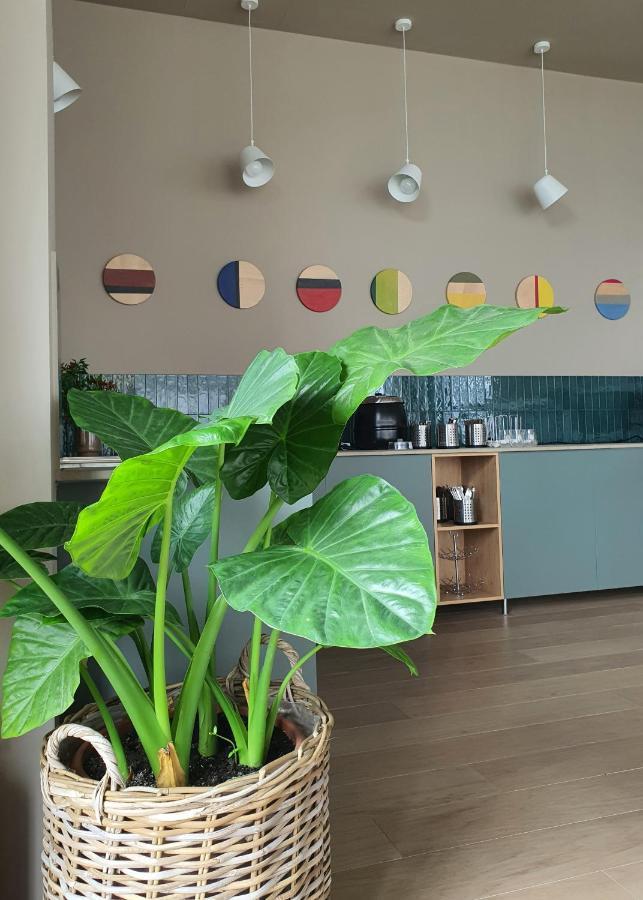 Marida Hotel Сату-Маре Экстерьер фото
